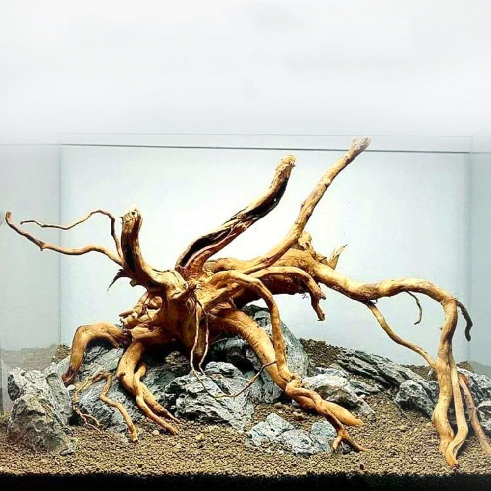 Naturalne drzewo pnia dekoracj – Aquarium Planted Tree recenzja i cena