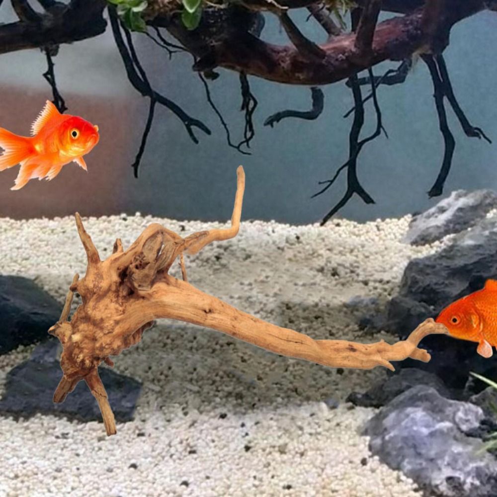 Naturalne drzewo pnia dekoracj – Aquarium Planted Tree recenzja i cena