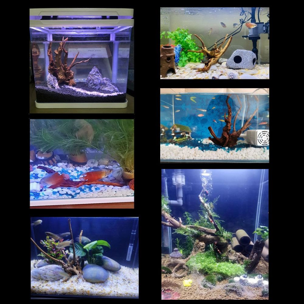 Naturalne drzewo pnia dekoracj – Aquarium Planted Tree recenzja i cena