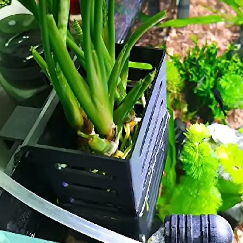Rybka domowa zbiornik dekoracj – Planted Aquarium Materials recenzja i cena