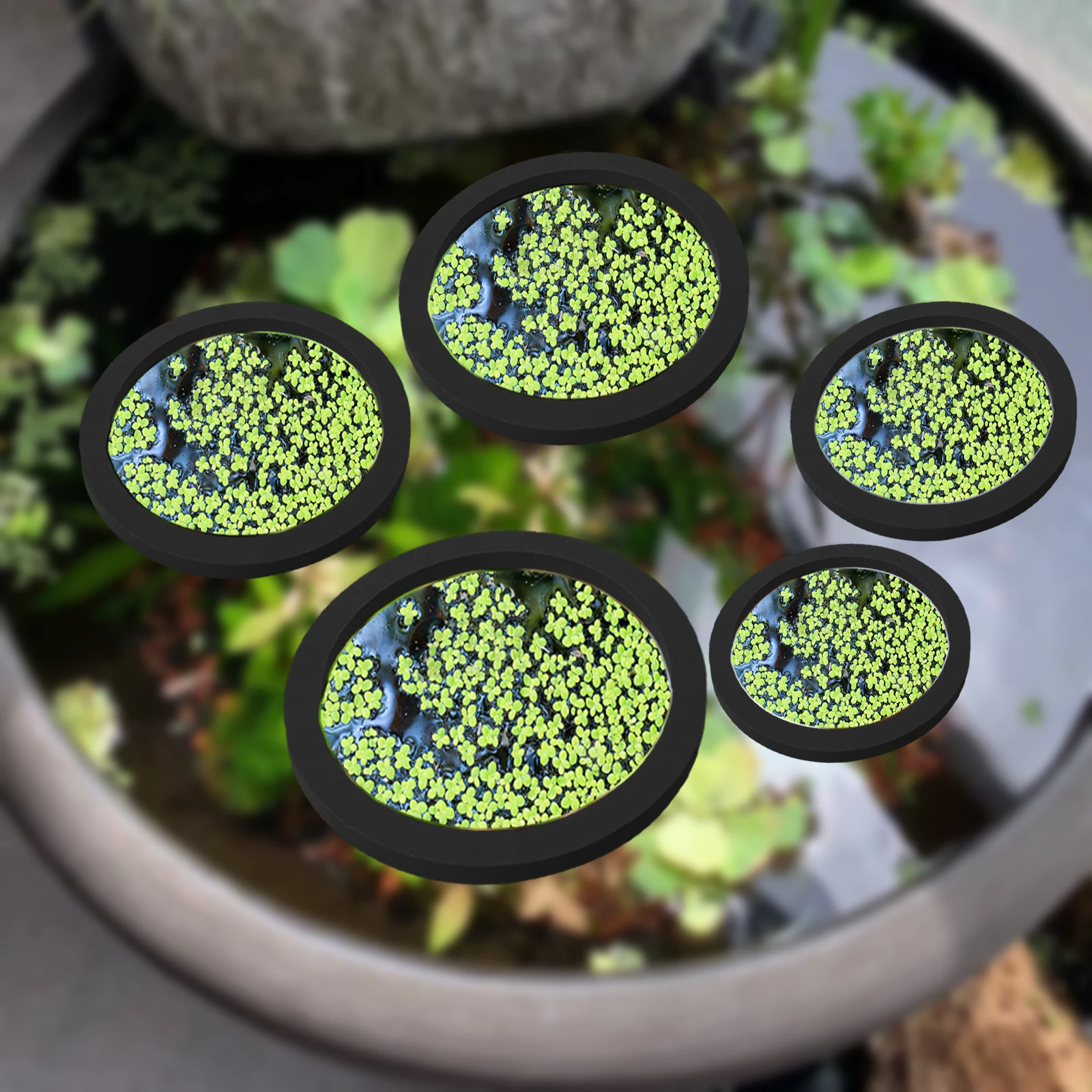 5Pcs EVA Pierścień do karmieni – Aquarium Planted Fish recenzja i cena