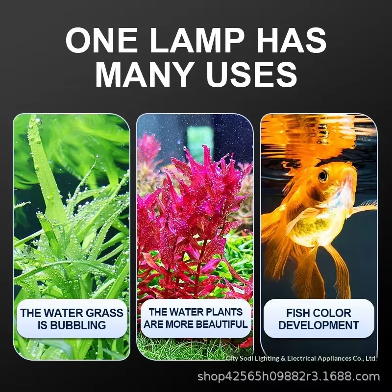 Profesjonalna, super jasna alu – Planted Aquarium Hours recenzja i cena