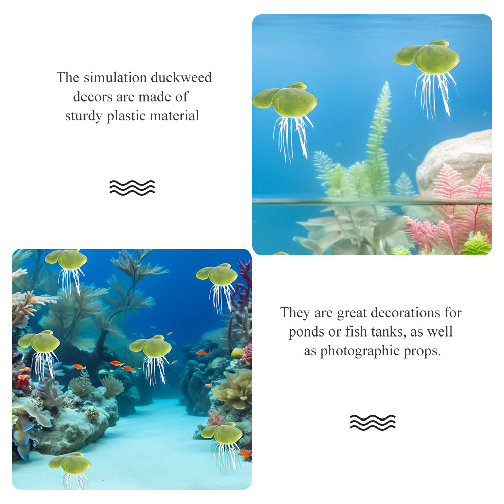 Rośliny akwariowe słodkowodne  – Planted Aquarium For Beginners recenzja i cena