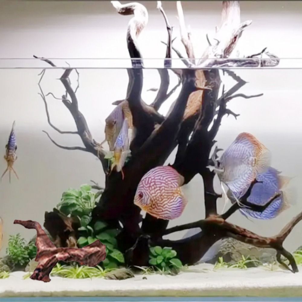 Kreatywne, nieregularne kształ – Aquarium Planted Wood recenzja i cena
