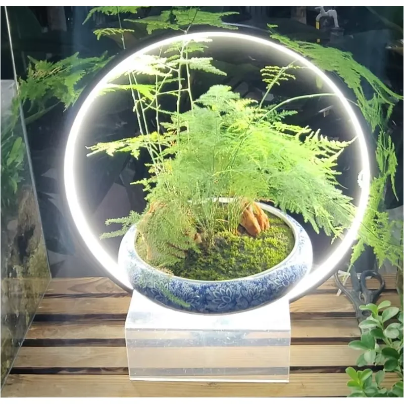 Lampa LED do akwarium na biurk – Planted Aquarium Hours recenzja i cena