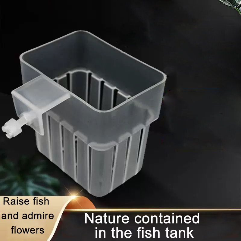 Akwarium Przezroczysty Koszyk  – Aquarium Planted Wall recenzja i cena