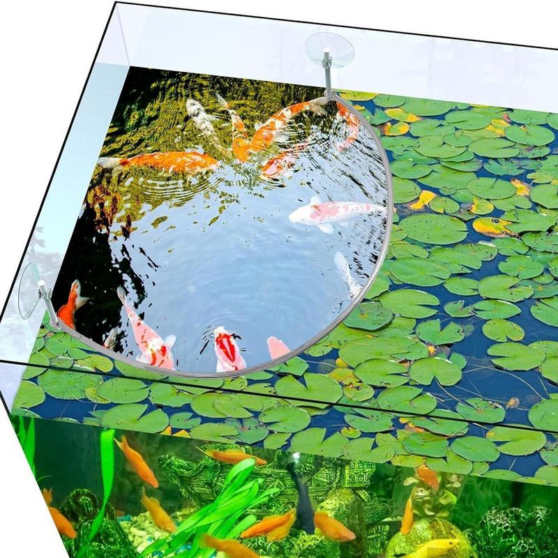 Pływający pierścień do karmien – Planted Aquarium Materials recenzja i cena
