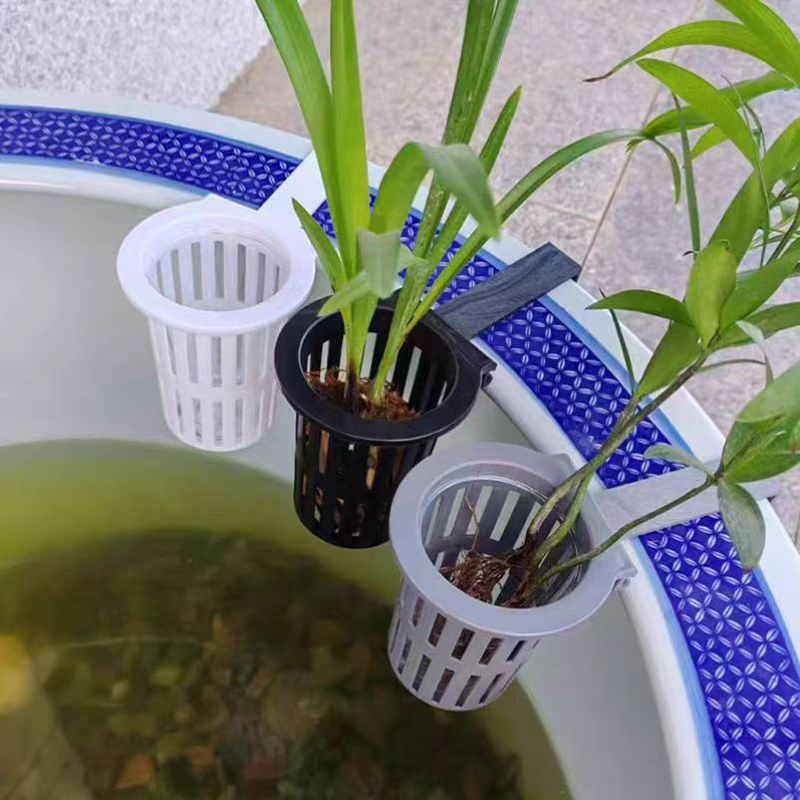 1/3 szt. Kosz na rośliny akwar – Aquarium Planted Wall recenzja i cena