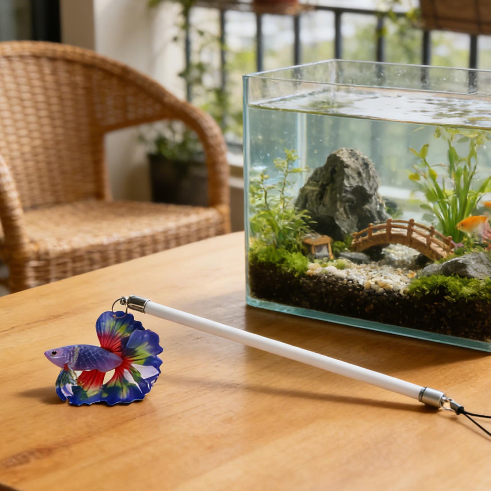 Wędka do treningu ryb Betta, i – Planted Aquarium For Beginners recenzja i cena