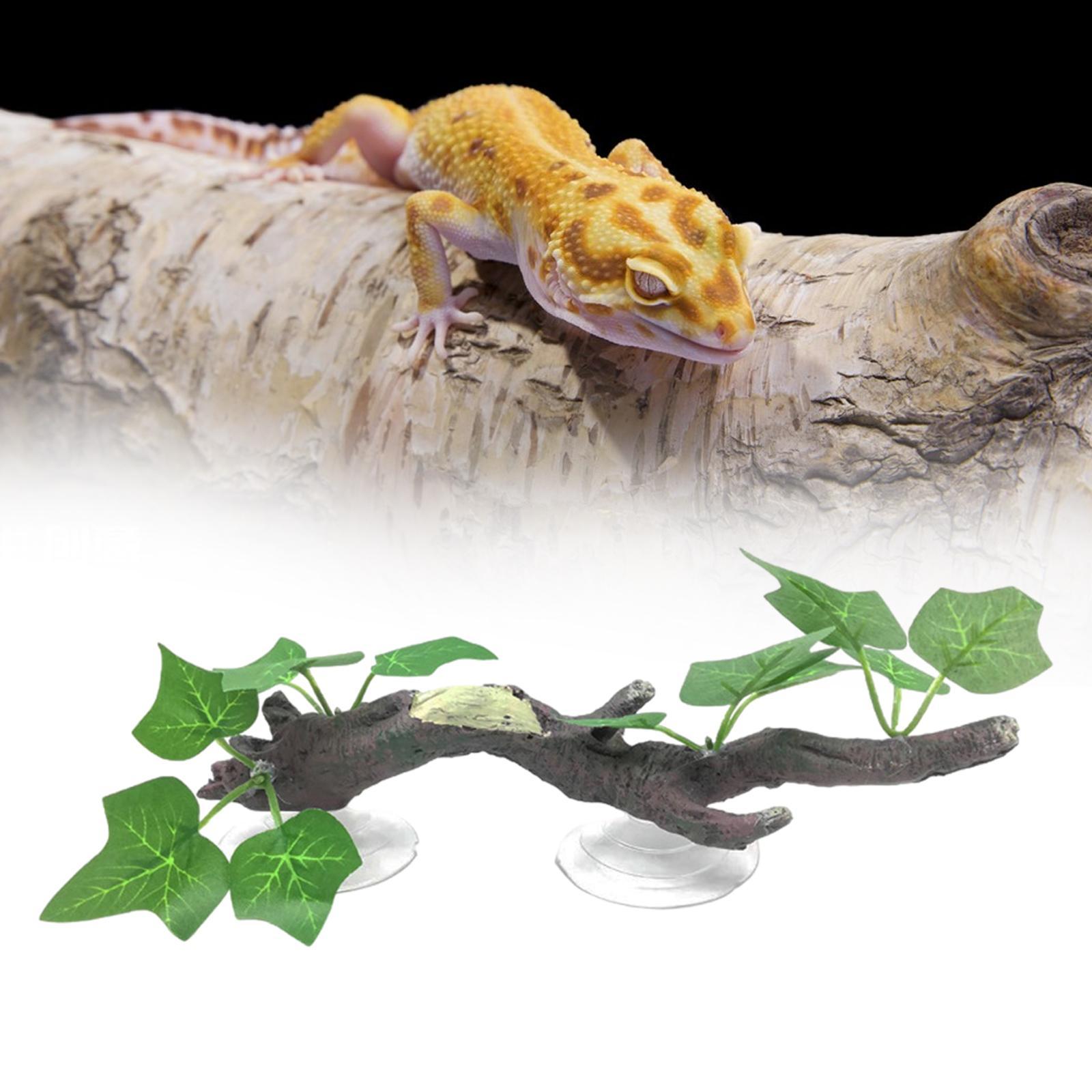 Dekoracja do wspinania się po  – Aquarium Planted Tree recenzja i cena