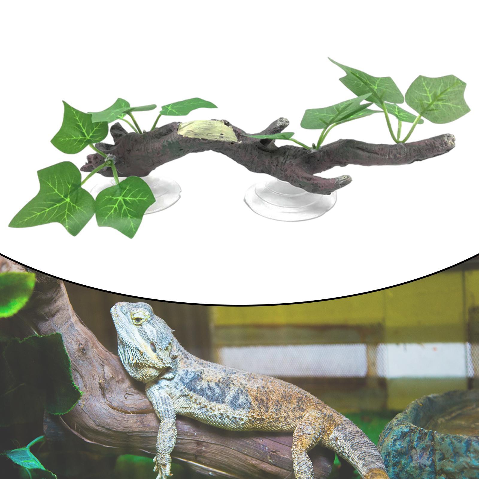 Dekoracja do wspinania się po  – Aquarium Planted Tree recenzja i cena