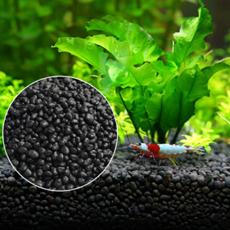 Roślina akwariowa nasiona gleb – Aquarium Planted Fish recenzja i cena