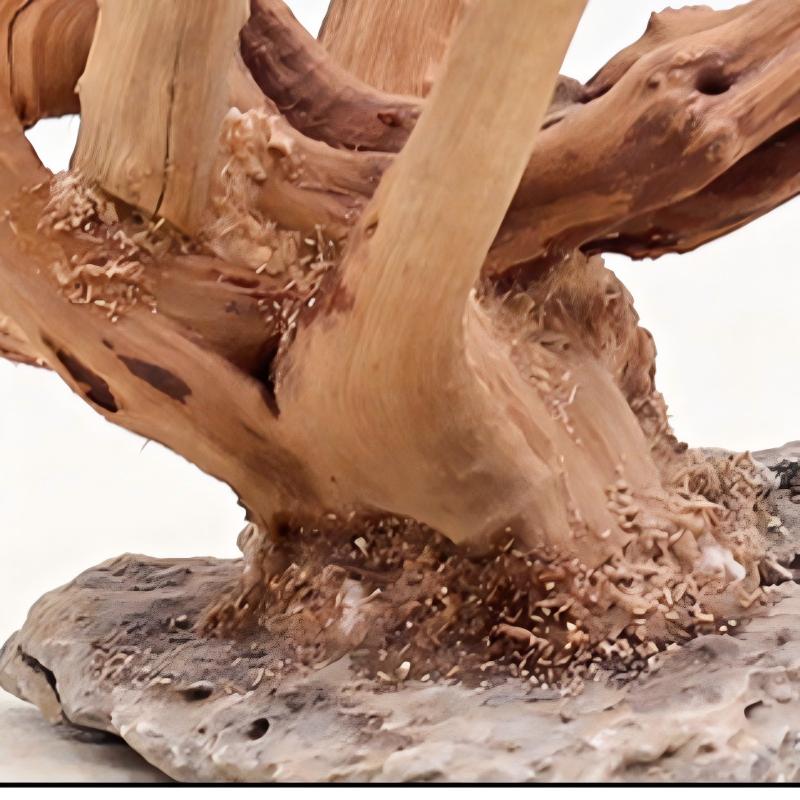 1PC akwarium dekoracje krajobr – Aquarium Planted Tree recenzja i cena