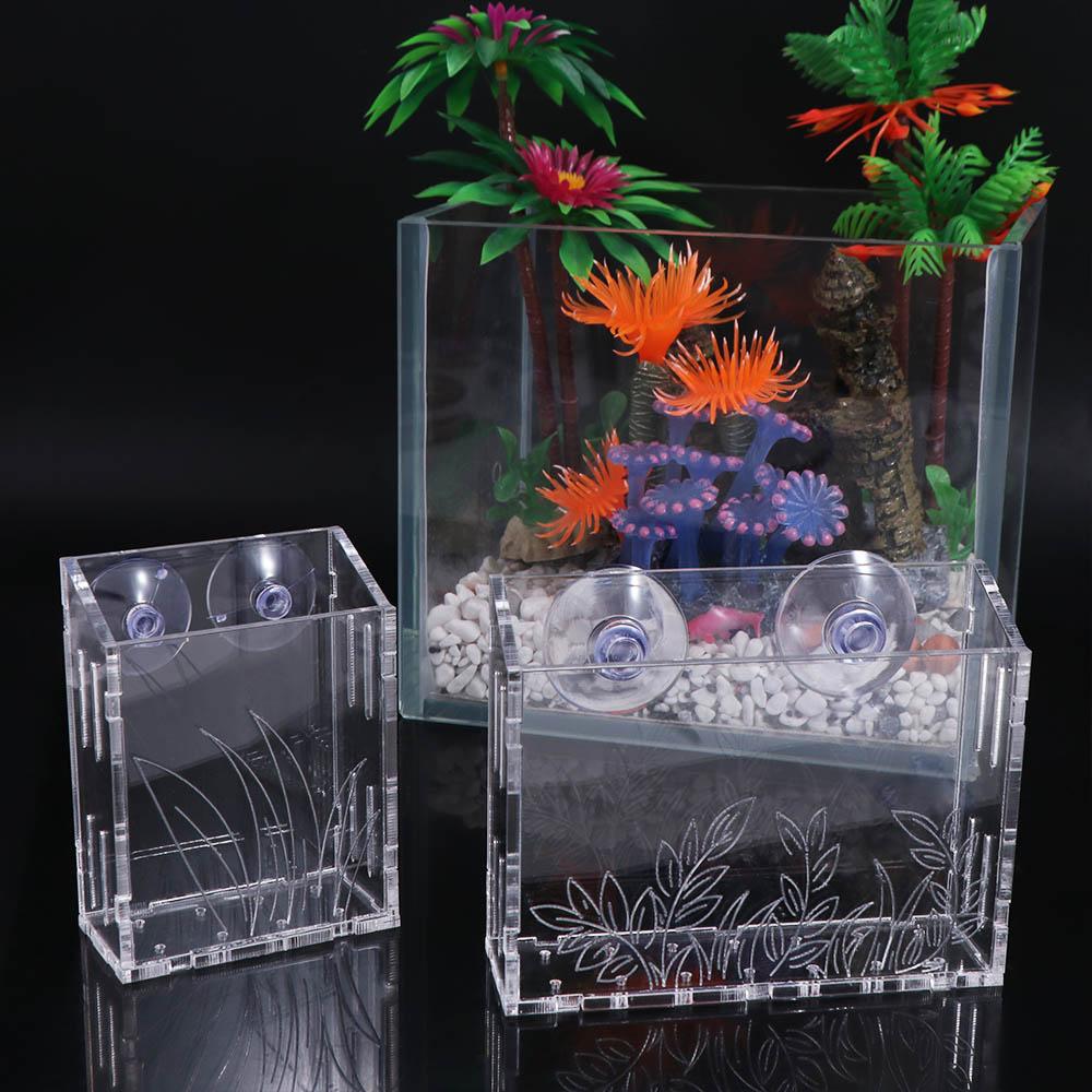 Kubek do roślin akwariowych do – Aquarium Planted Wall recenzja i cena