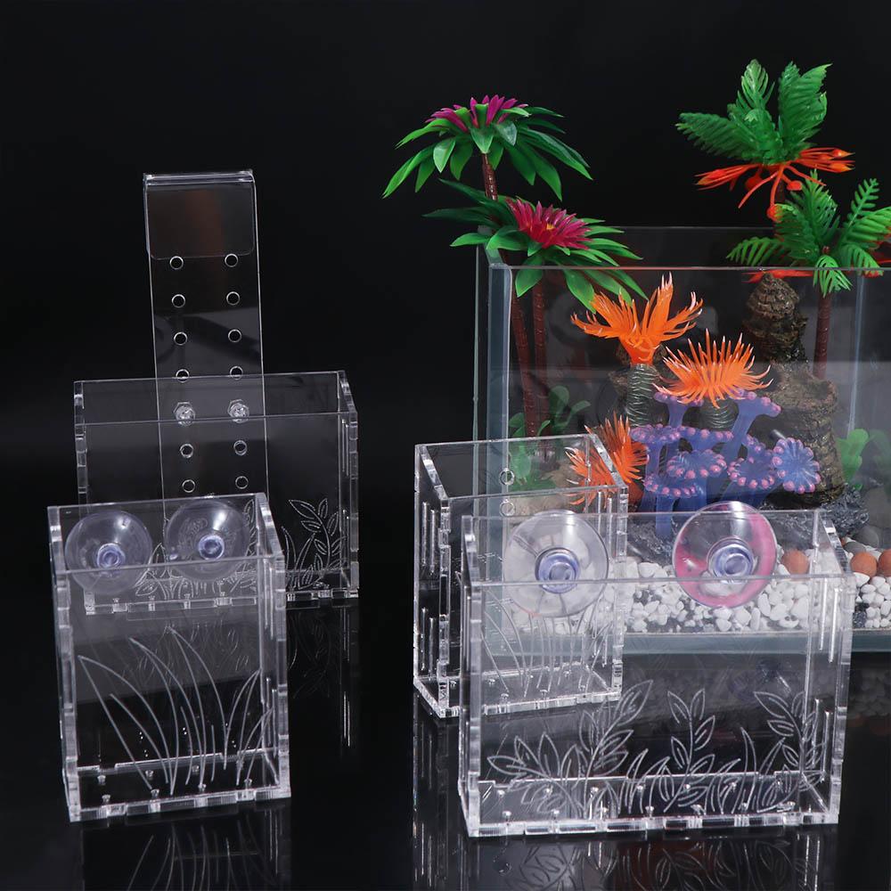 Kubek do roślin akwariowych do – Aquarium Planted Wall recenzja i cena