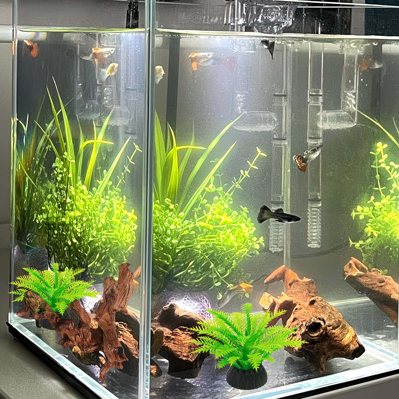 Dekoracja do akwarium z natura – Aquarium Planted Wood recenzja i cena