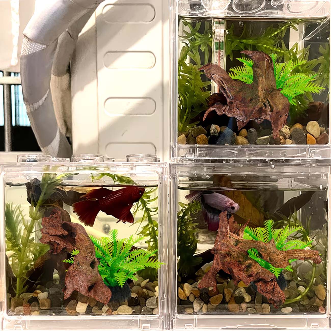 Dekoracja do akwarium z natura – Aquarium Planted Wood recenzja i cena