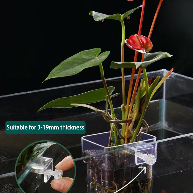 Wielofunkcyjny akwarium dla ry – Aquarium Planted Fish recenzja i cena