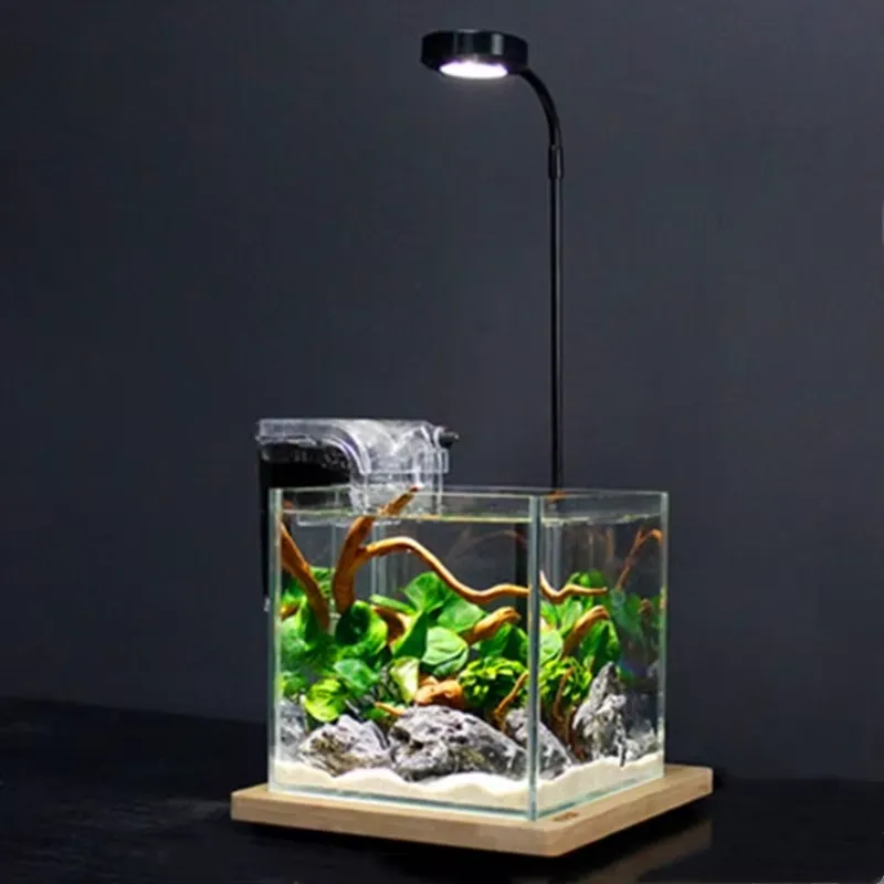 Lampa LED do akwarium z regula – Planted Aquarium Hours recenzja i cena