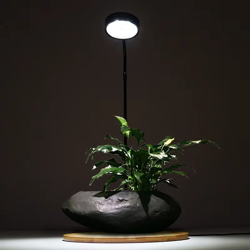 Lampa LED do akwarium z regula – Planted Aquarium Hours recenzja i cena