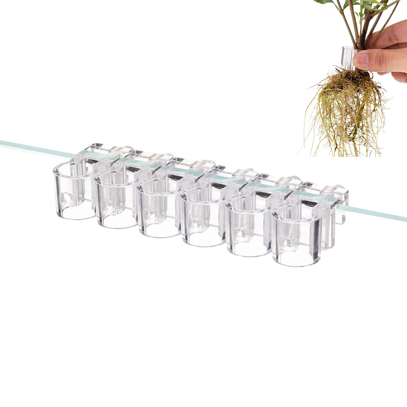 Uchwyt na rośliny do akwarium, – Planted Aquarium Materials recenzja i cena