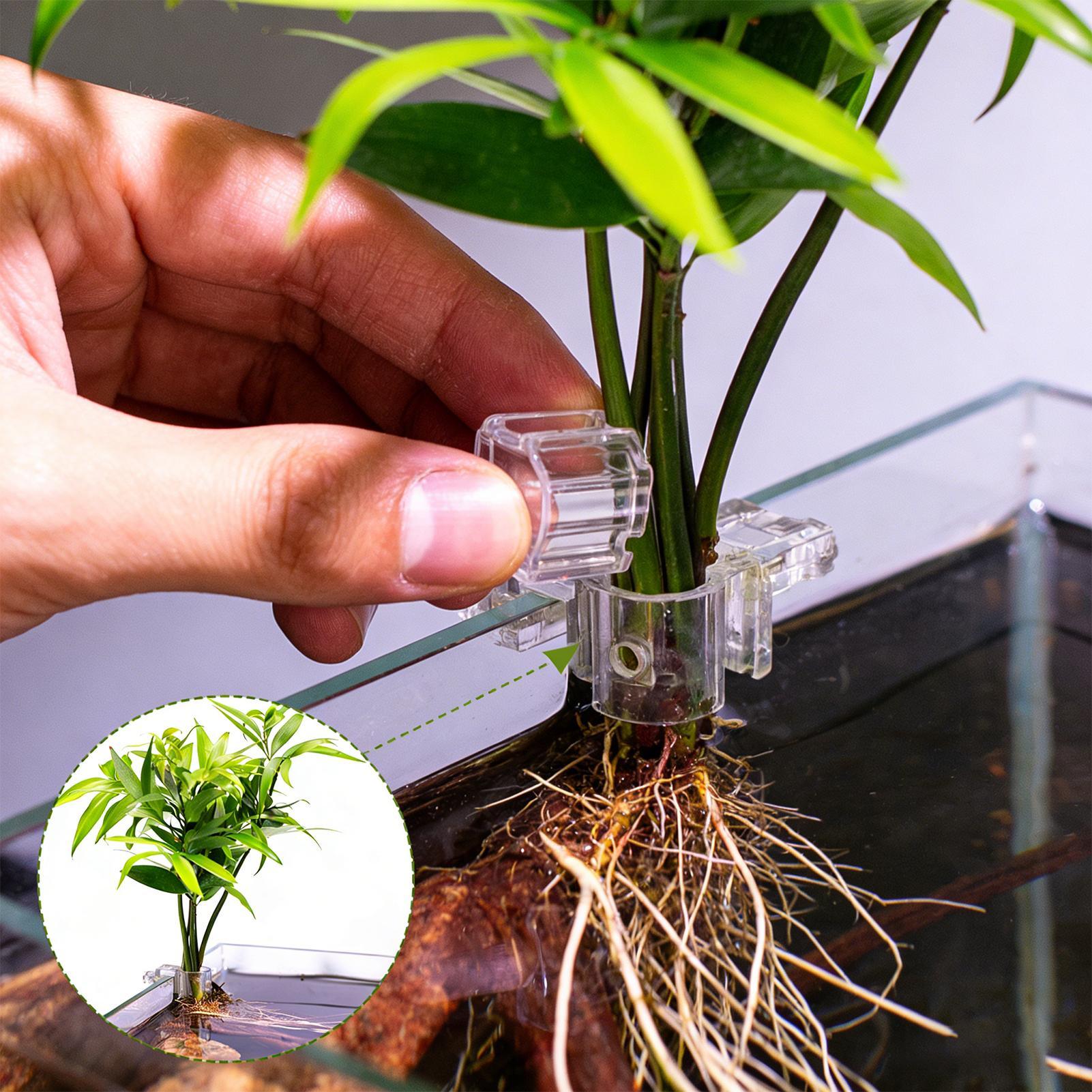 Uchwyt na rośliny do akwarium, – Planted Aquarium Materials recenzja i cena