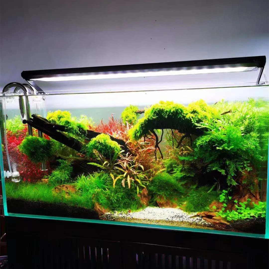 Światło do akwarium WEEK AQUA  – Aquarium Plant On Top recenzja i cena