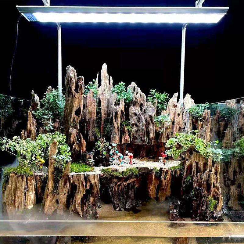 △   Dekoracja akwariowa z drew – Aquarium Planted Wood recenzja i cena