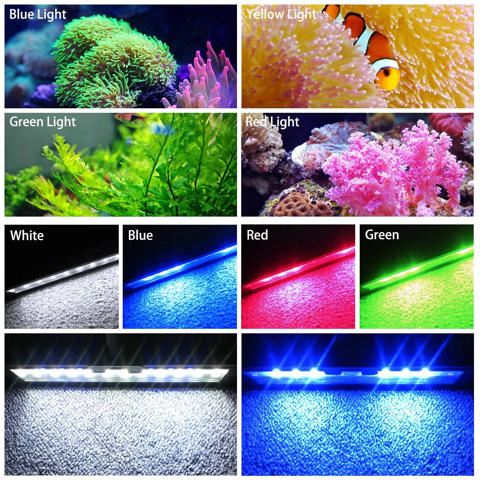 Liweida 24-godzinna lampa LED  – Planted Aquarium Hours recenzja i cena