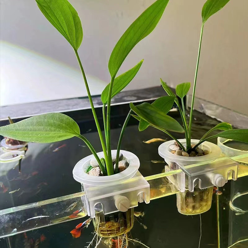 Kosz do sadzenia akwarium Hydr – Aquarium Planted Wall recenzja i cena
