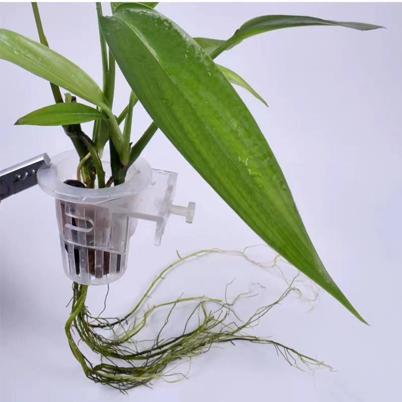 Kosz do sadzenia akwarium Hydr – Aquarium Planted Wall recenzja i cena