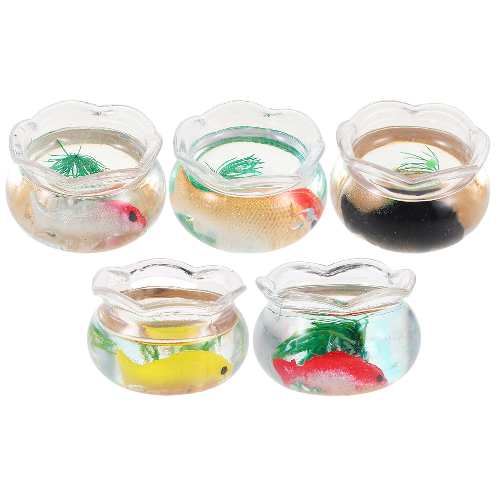 5 szt. miniaturowych akwariów  – Aquarium Planted Fish recenzja i cena