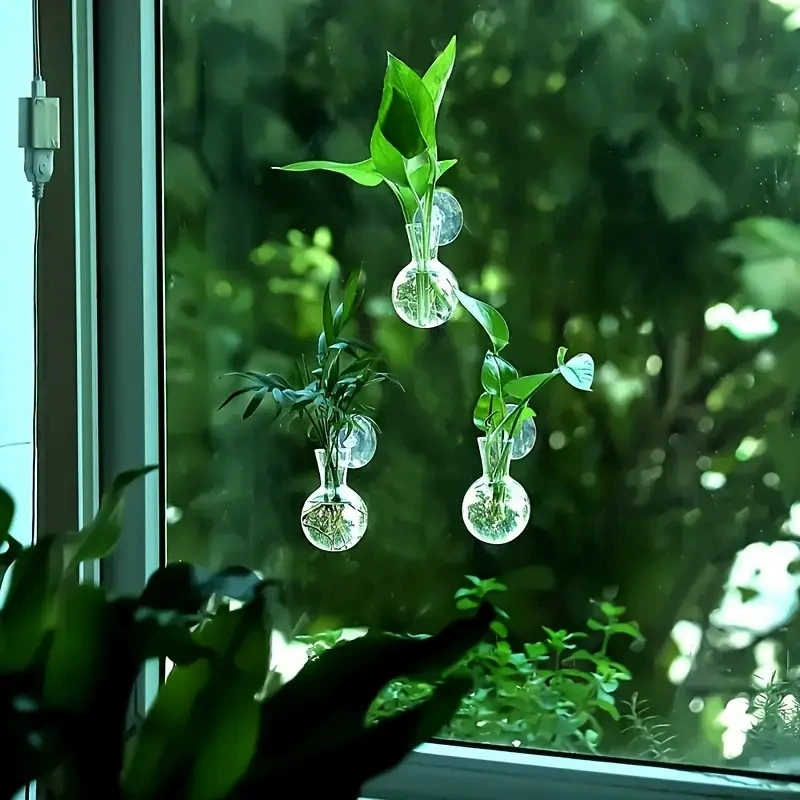 Kreatywny półokrągły wazon ści – Aquarium Planted Wall recenzja i cena