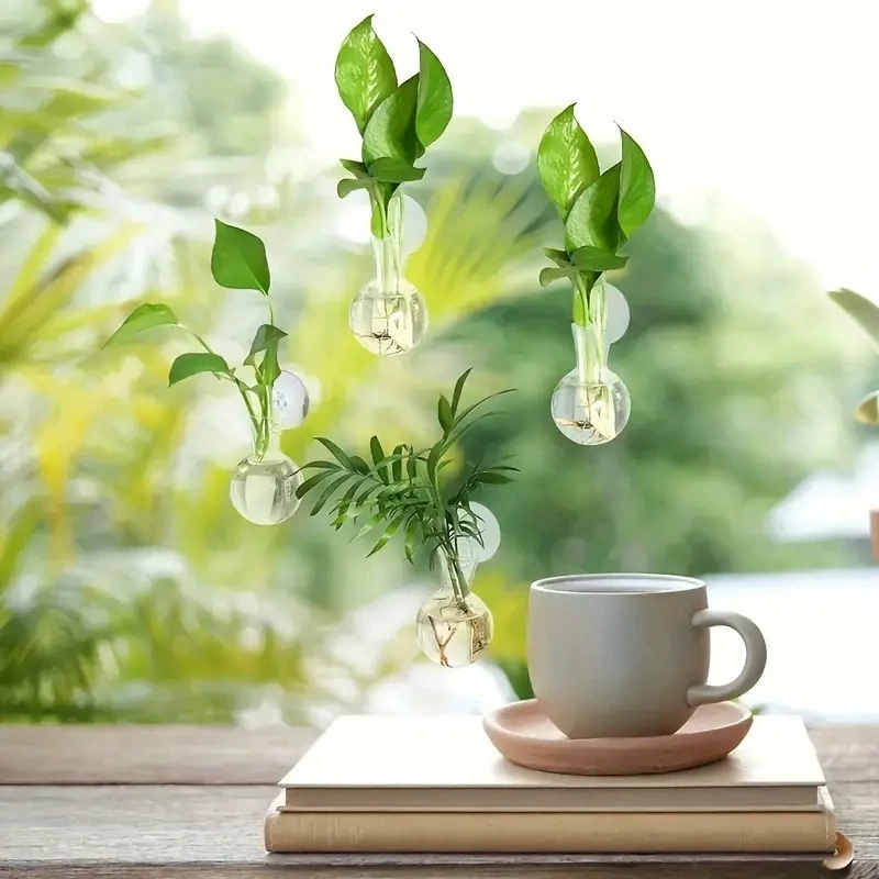 Kreatywny półokrągły wazon ści – Aquarium Planted Wall recenzja i cena